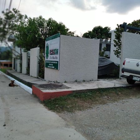 Departamentos De La Reina Roja Apartment ปาเลงเก ภายนอก รูปภาพ