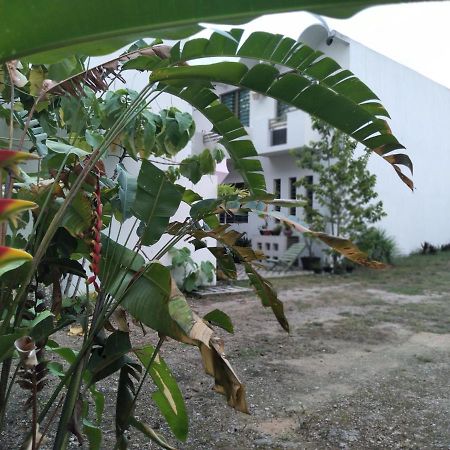 Departamentos De La Reina Roja Apartment ปาเลงเก ภายนอก รูปภาพ