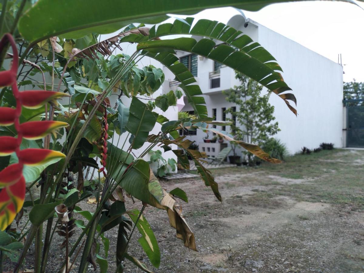Departamentos De La Reina Roja Apartment ปาเลงเก ภายนอก รูปภาพ