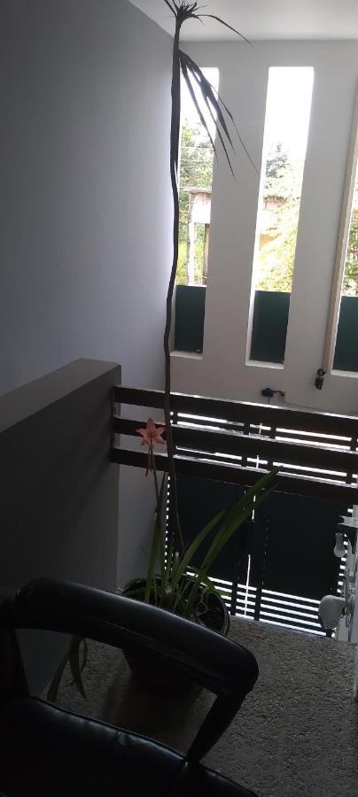 Departamentos De La Reina Roja Apartment ปาเลงเก ภายนอก รูปภาพ