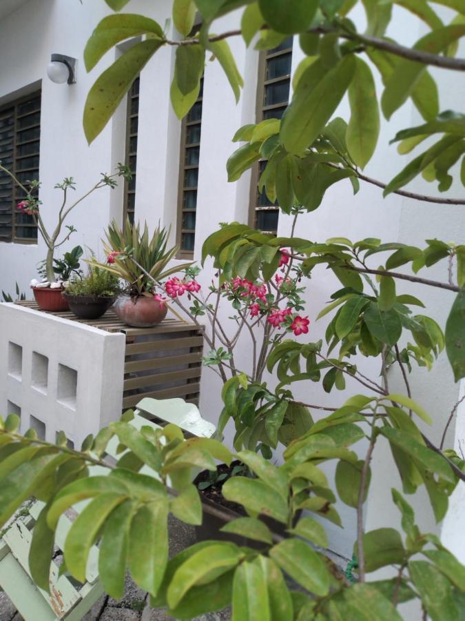 Departamentos De La Reina Roja Apartment ปาเลงเก ภายนอก รูปภาพ