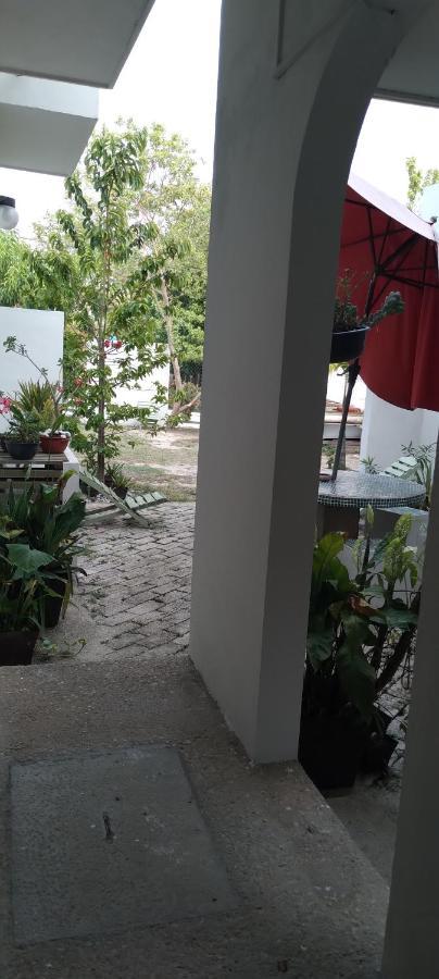 Departamentos De La Reina Roja Apartment ปาเลงเก ภายนอก รูปภาพ