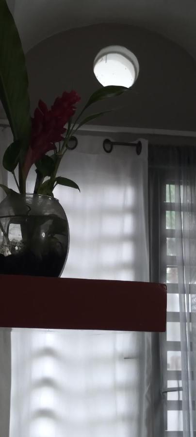 Departamentos De La Reina Roja Apartment ปาเลงเก ภายนอก รูปภาพ