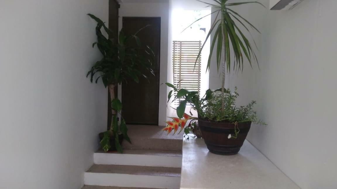 Departamentos De La Reina Roja Apartment ปาเลงเก ภายนอก รูปภาพ